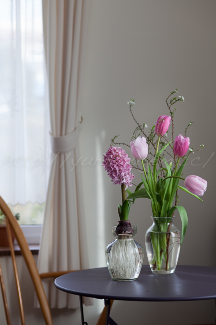 20150206花.jpg