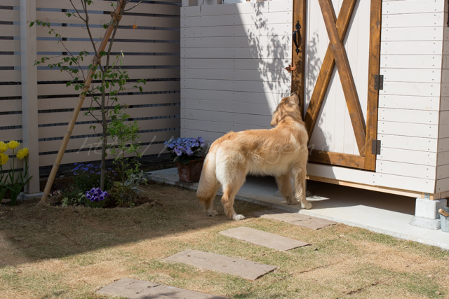 20150503庭-6.jpg