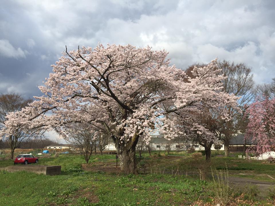 岩瀬牧場−3.jpg
