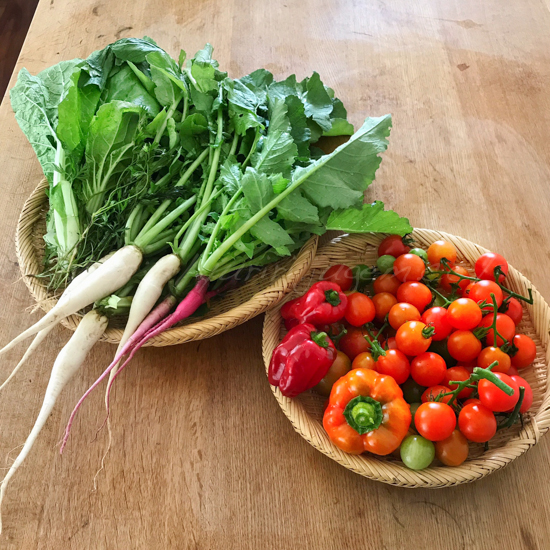 20170918収穫野菜.jpg
