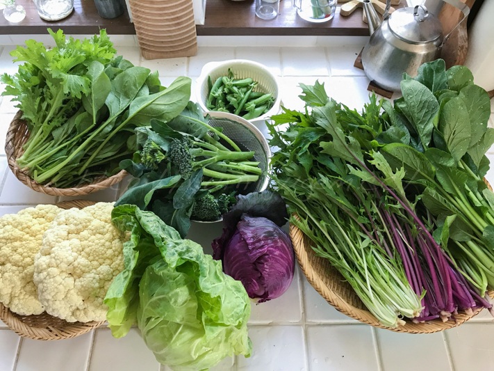 20180525野菜.jpg