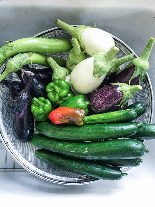 20180720丸ごとトマトのカレー-4.jpg