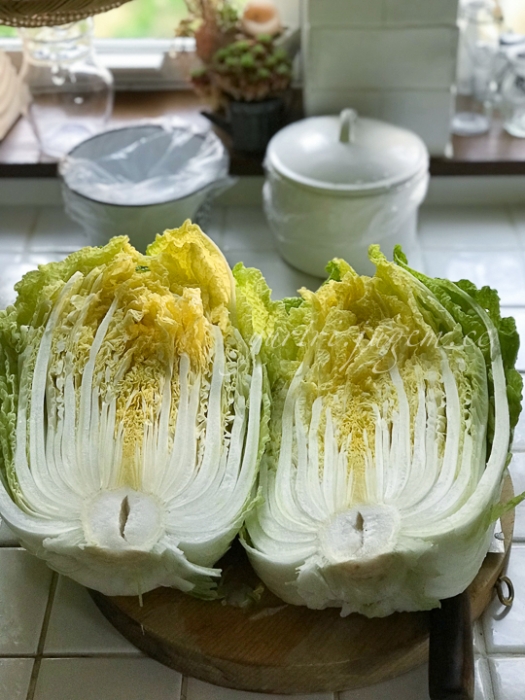 20181117-キムチ準備-2.jpg