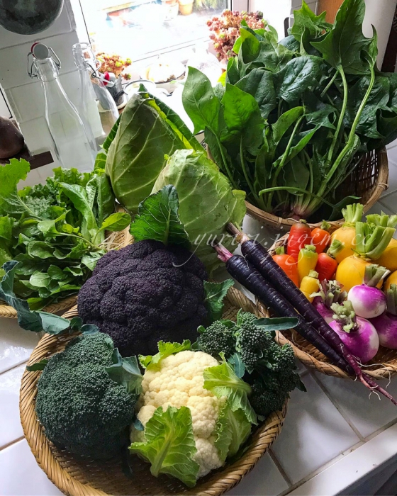 20191208 収穫野菜.jpg