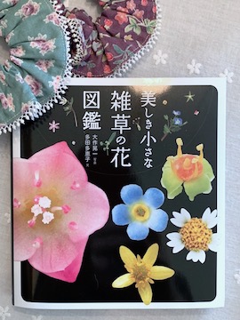 春小花