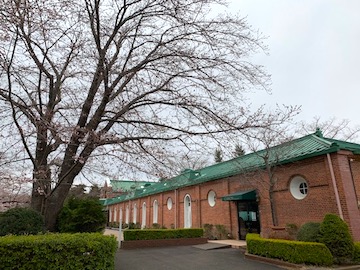 牛久シャトー桜祭り
