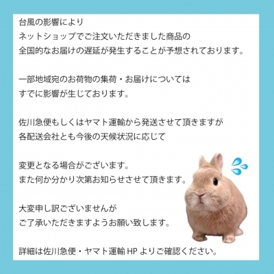 ネットショップ配送の遅延について | うさぎ星 スタッフブログ