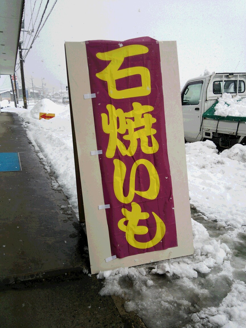 DSC_1555.JPG