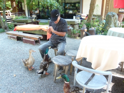 おねだりするかも