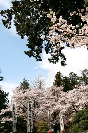 春の恵林寺・信玄公宝物館