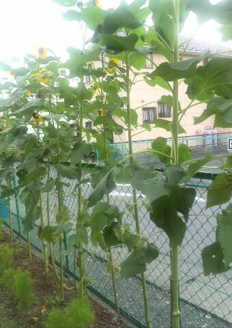 1406030584501.jpg