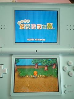 どうぶつの森表示中
