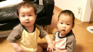 2008073000000000.jpg