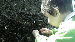 2009122309460000.jpg