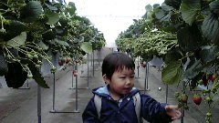2010030117310000.jpg