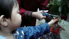 2010030117300000.jpg