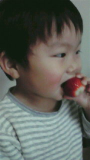 2010030117230000.jpg