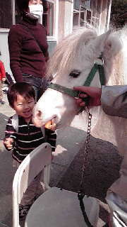 2010030118590000.jpg