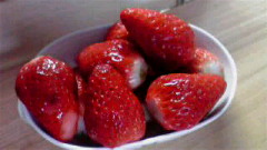 2010030109020000.jpg