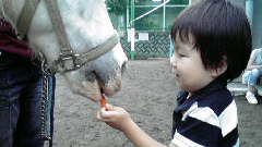 2010062600360000.jpg