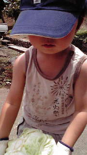 2010062614200001.jpg