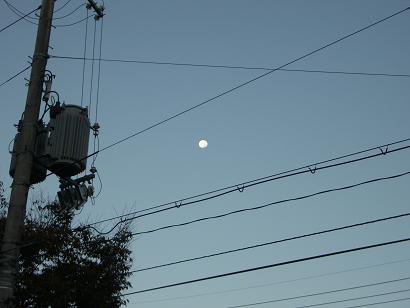 朝の月