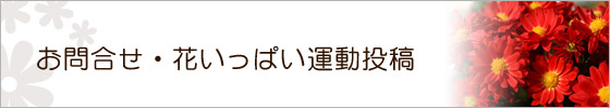 花街道 花いっぱい 問い合わせ・投稿