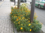 花街道チラシ1