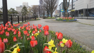 2014041011310000.jpg