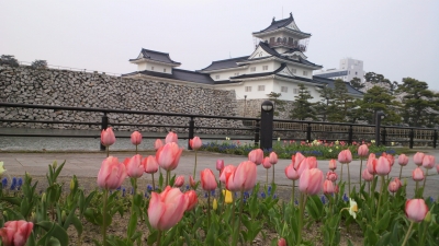 2014041011320000.jpg