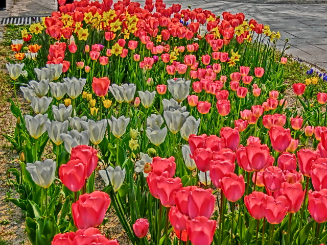 城址公園2014_4 (30).JPG