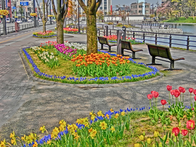 城址公園2014_4 (41).JPG