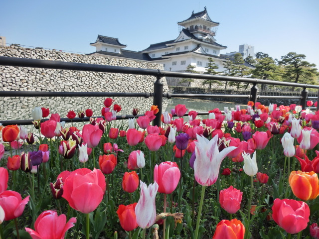 城址公園2014_4 (63).JPG