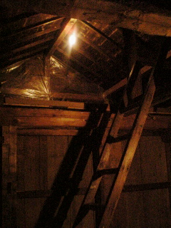 20061009_262845.jpg