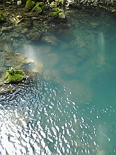 070913_1152~01.jpg