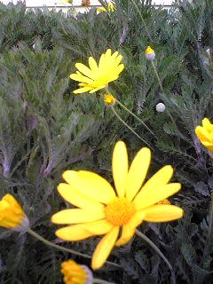 Image051.jpg