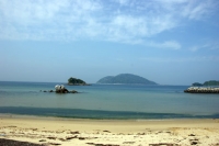 海
