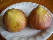 あま〜いいちじく
