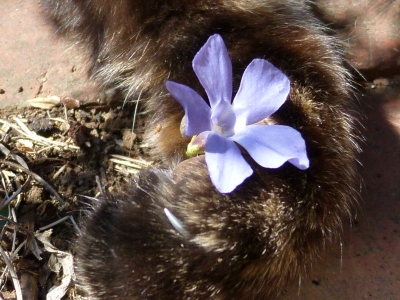 P1000857.JPG