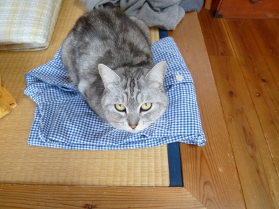 P1000335.JPG