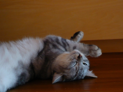 P1050070.JPG