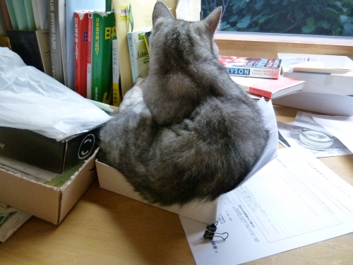 これは何.JPG