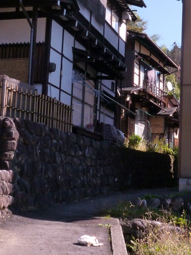 P1030092.JPG