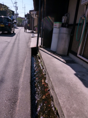 P1030106.JPG