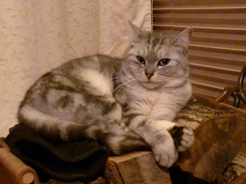 P1030616.JPG