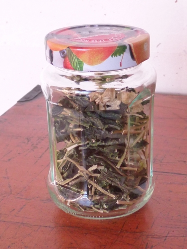 P1030816.JPG