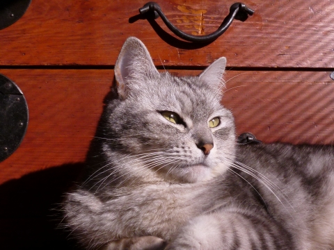 P1050342.JPG