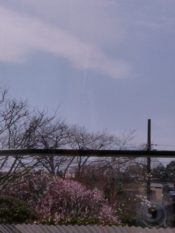 P1060533.JPG