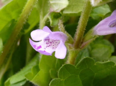 P1070334.JPG