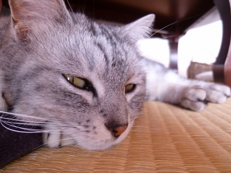 P1050205.JPG